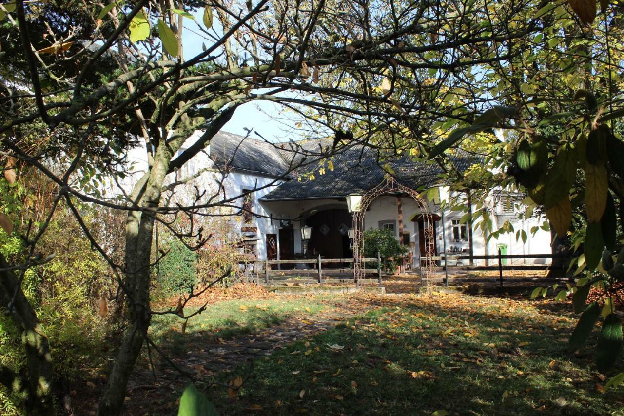 Séjour chez l'habitant Hinkelshof - 3 Gaestezimmer - Naturnah, Oekologisch, Urig, Selbstversorgerkueche *